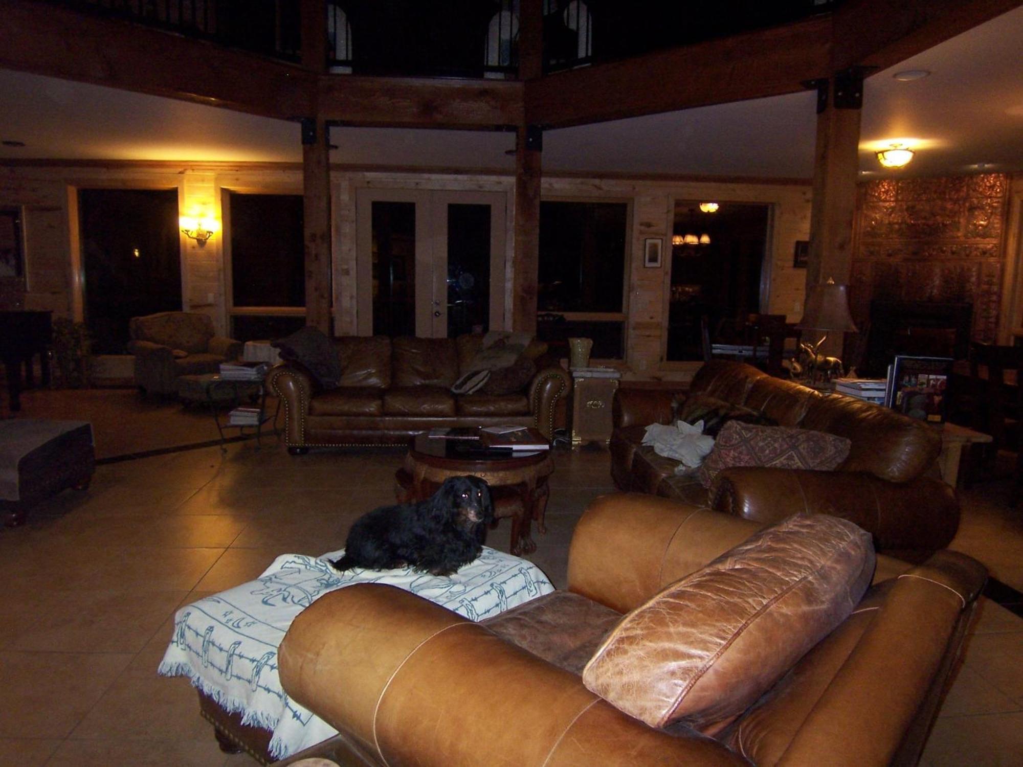 Elktrace Bed And Breakfast Pagosa Springs Dış mekan fotoğraf
