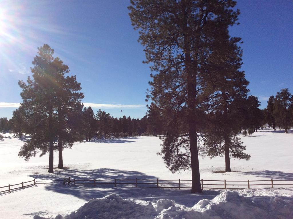 Elktrace Bed And Breakfast Pagosa Springs Dış mekan fotoğraf