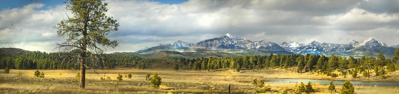 Elktrace Bed And Breakfast Pagosa Springs Dış mekan fotoğraf